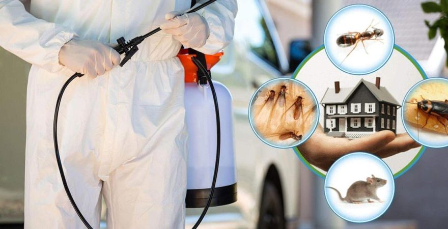 Sarıgöl Böcek İlaçlama