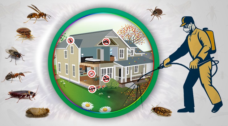 Sarıgöl Böcek İlaçlama