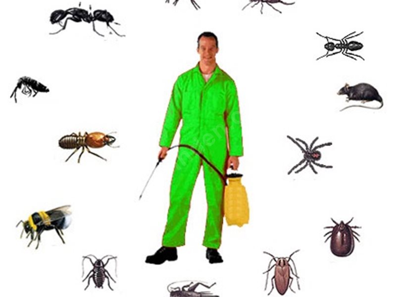 Sarıgöl Böcek İlaçlama